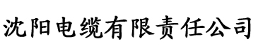 婷婷五月天影院电缆厂logo